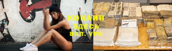 дурь Осташков
