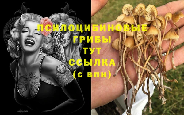 молекула духа Остров