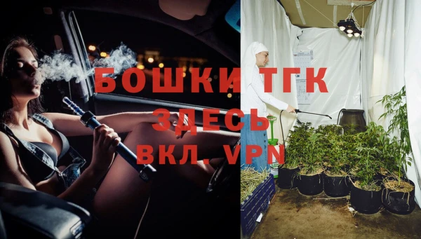 дурь Осташков