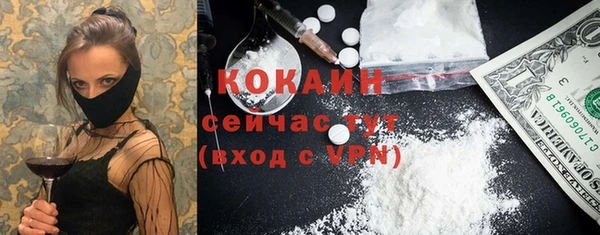 дурь Осташков