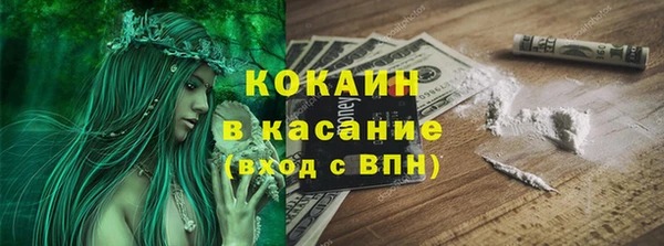 дурь Осташков