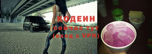дурь Осташков