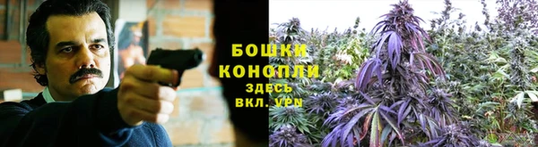 дурь Осташков