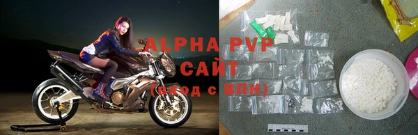 эйфоретик Аша