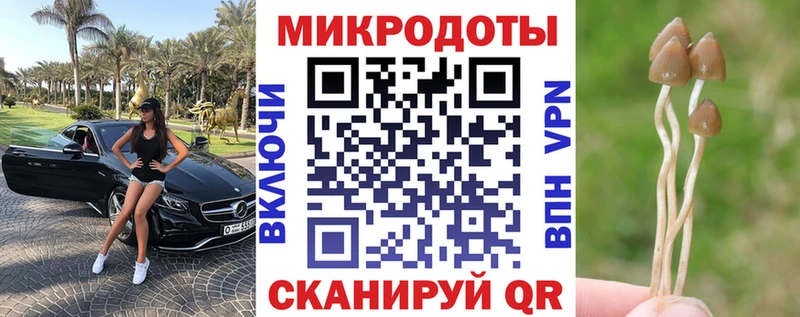 Галлюциногенные грибы Cubensis  Бавлы 